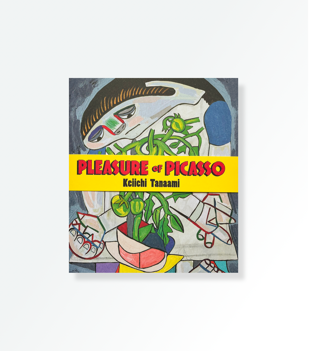 美術本　『CERAMIQVES』 PICASSO 美術本 『CERAMIQVES』 PICASSO Picasso by Gabriel Potter