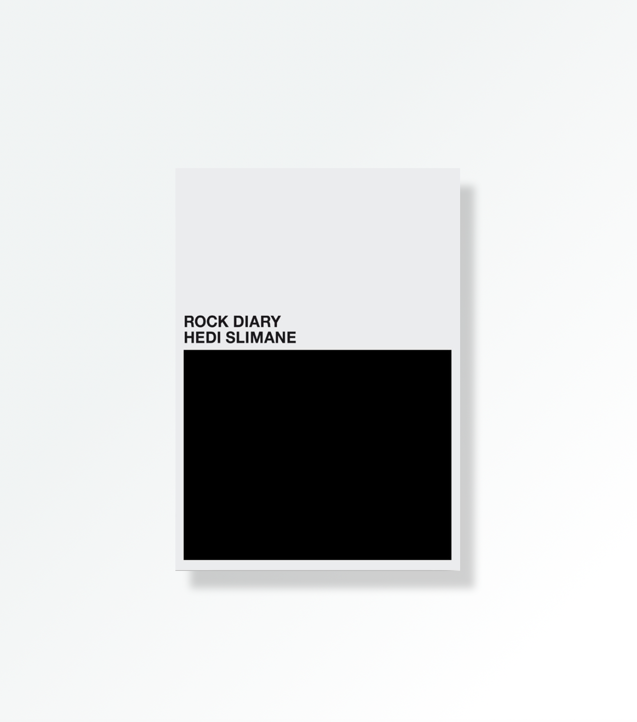 数量限定！特売 ROCK ROCK DIARY Hedi Slimane 写真集 洋書