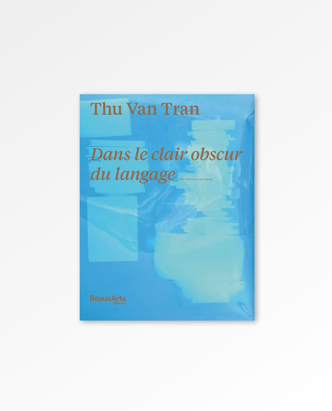 Dans le clair obscur du langage
