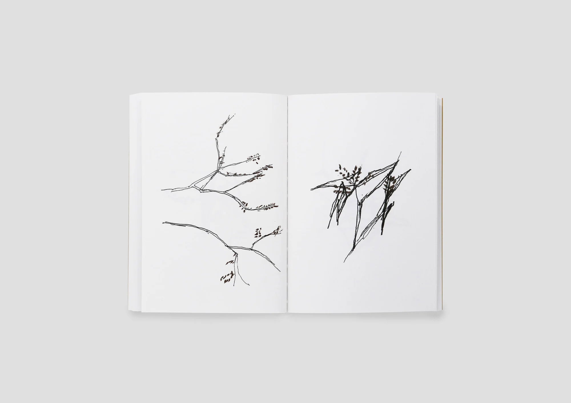 Drawings August 2018