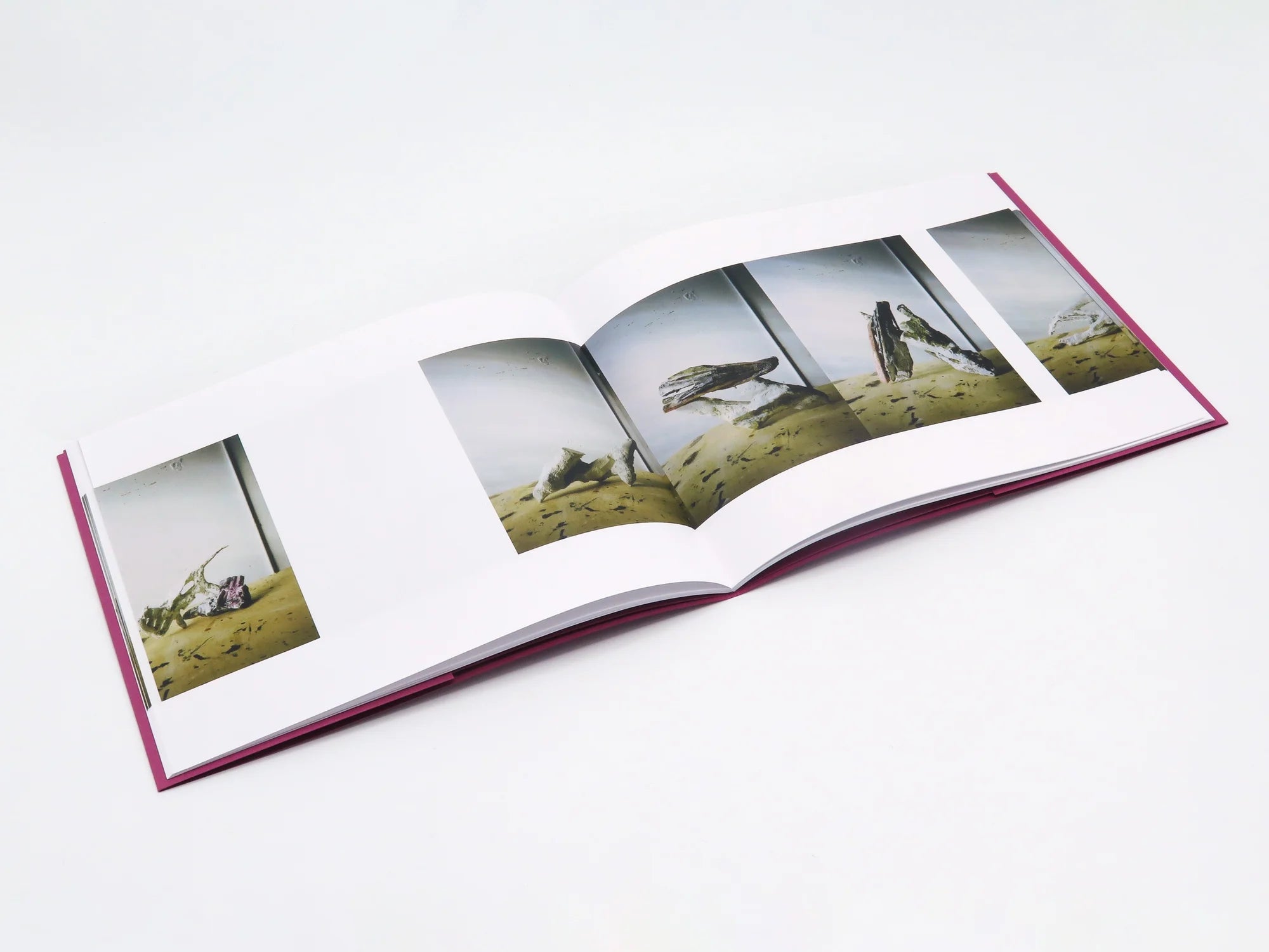 Photographs of Sculptures