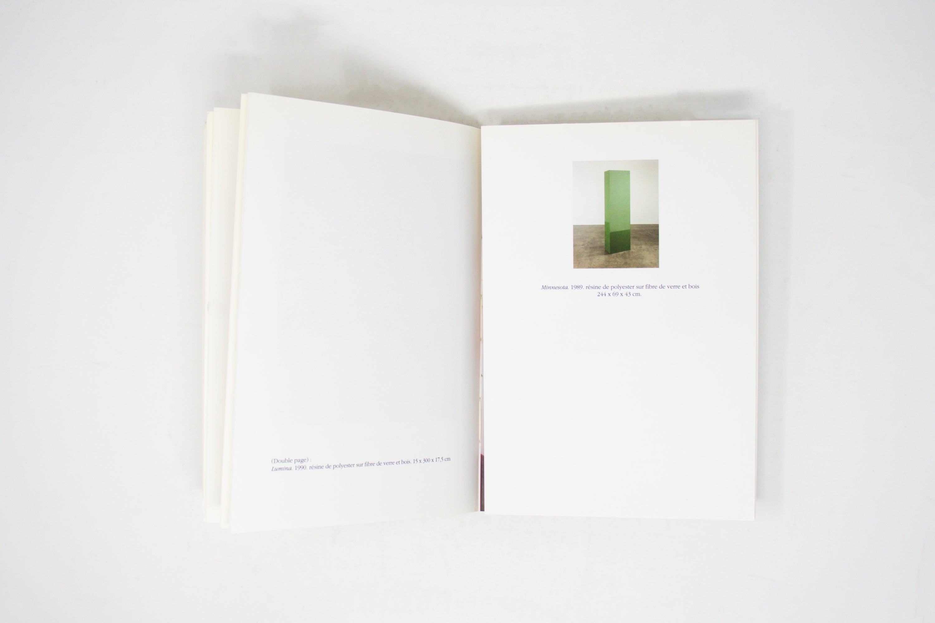 Interview with Ghislain Mollet-Viēville