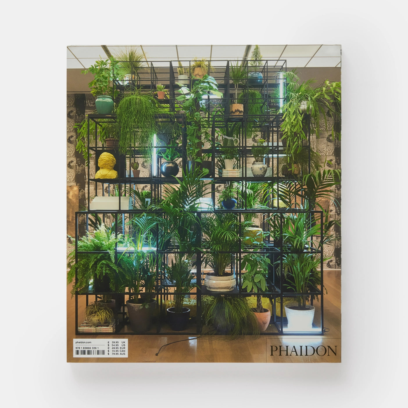 Rashid Johnson