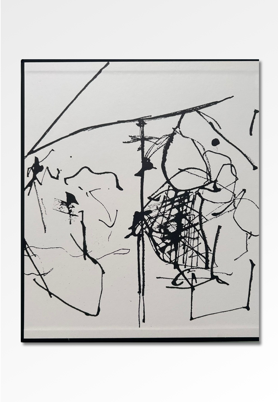 Robert Motherwell Drawings: A Catalogue Raisonné Robert Motherwell Books