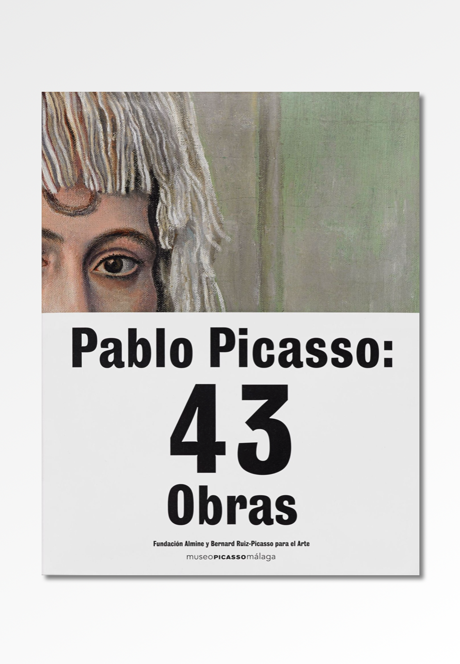 Pablo Picasso: 43 works Pablo Picasso Books