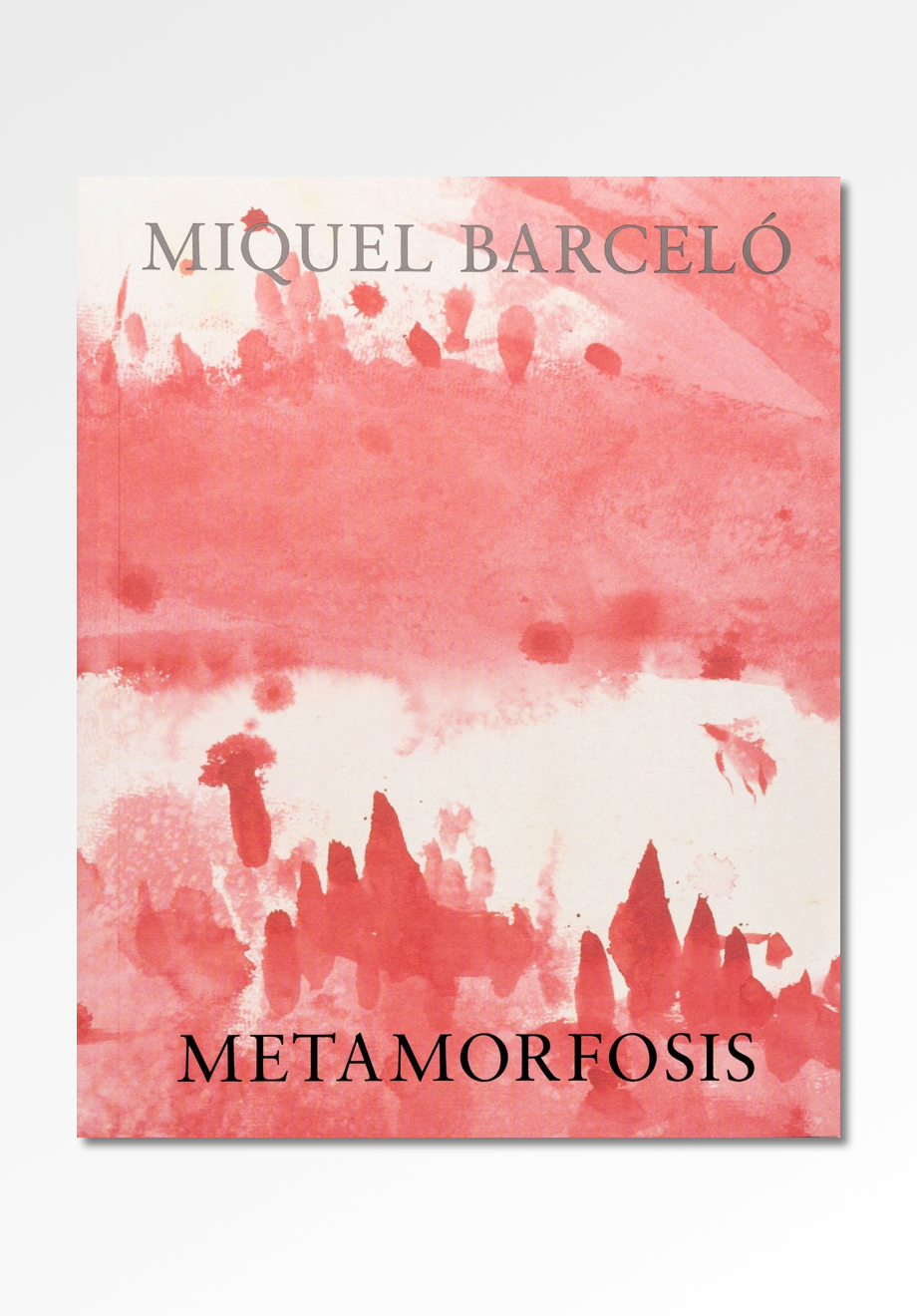 Metamorfosis Miquel Barceló Books